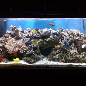 MY 180 gallon