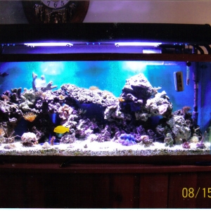 55 gal