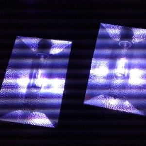 IMG_0219_