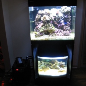 RSM with Refugium and home made over flow