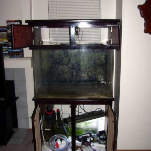 90 Gallon tank setup