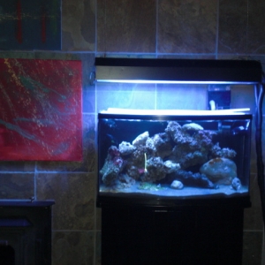 46 gallon Bow Front with Black Sand Base