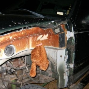 truck_deer_compresed