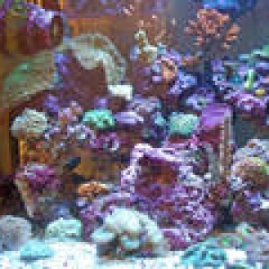 th_Aquarium029_edited