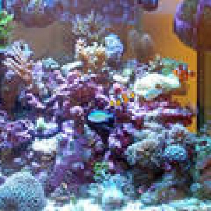 th_Aquarium031_edited