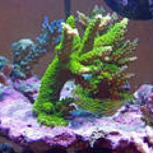 th_Aquarium020_edited