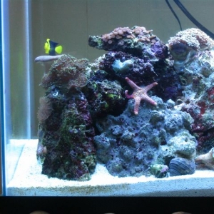 My Reef