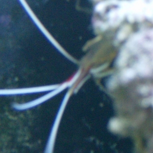 HPIM0747