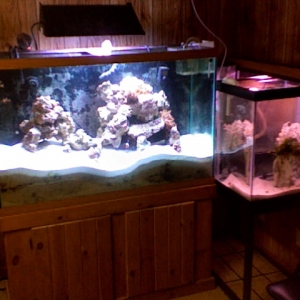 new tank set up may 10 09