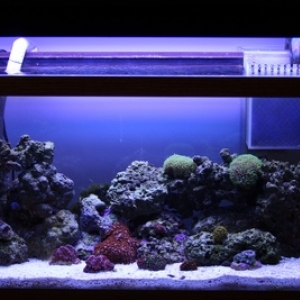 Full_Tank_Shot5