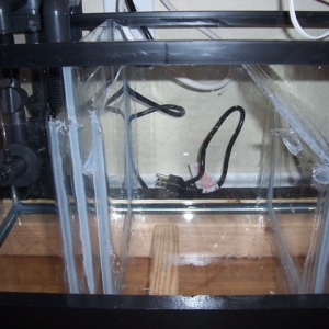 Homemade Sump