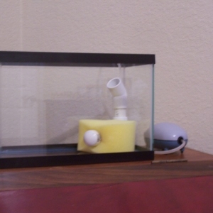 Quarantine tank