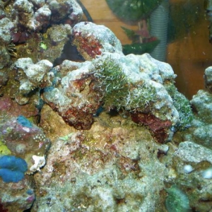 Aquarium_Sept_13_09