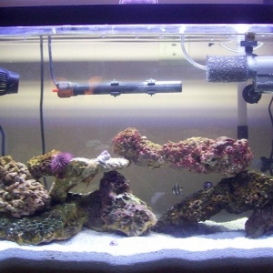 Up to date tank shot