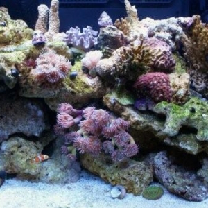 Updated fTS