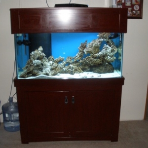 New 90 gallon