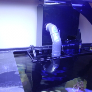 Just added AquaC Remora 1200 skimmer