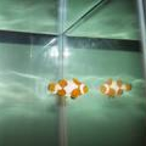 th_100_6770_1_