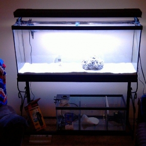 reef tank allmost there