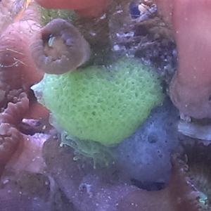 IMAG0653