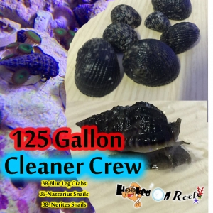 Cleaner Crew
