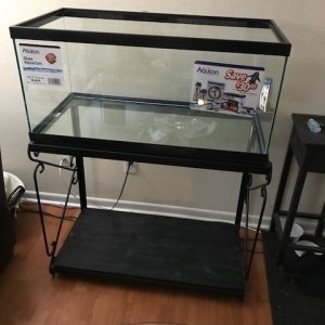 New set up 40gal