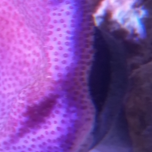 20180705_211017