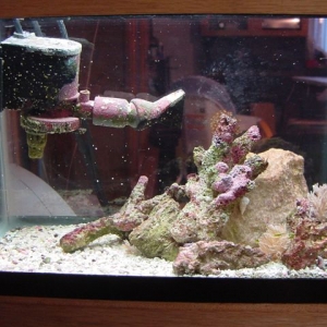 2.5 gallon nano