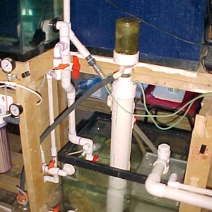Water change set-up