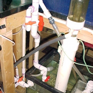 Water Change Plumbing