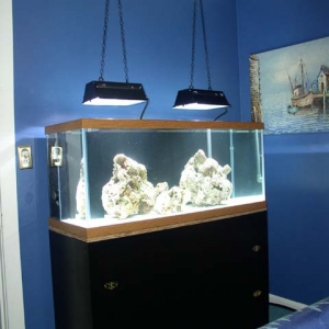 BedroomTank