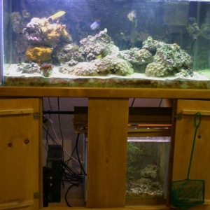 Full_Tank-Sump_12-06-04_001