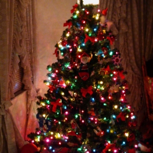Florida Christmas Tree