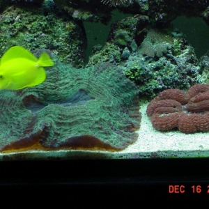mini-DSC01398