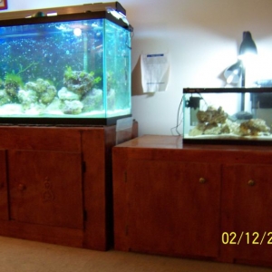 Main tank & QT tank