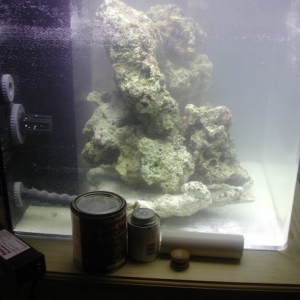 60 gallon cube tank