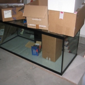 150 gallon tank