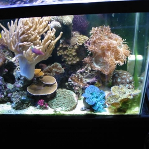 Right Side of Tank