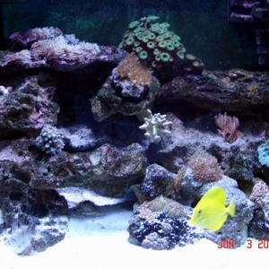 Tank Update pic 3