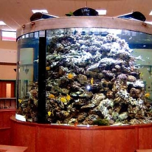 Vets Office Reef