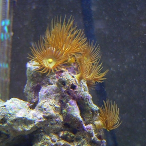 P1000163_1_