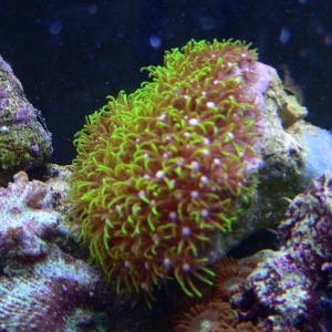P1000171_1_