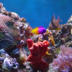 Lots O' Color