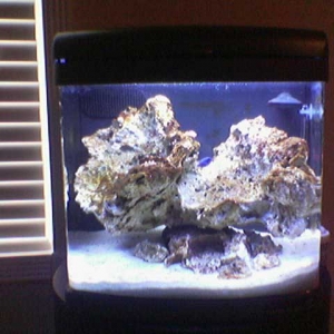 My tank