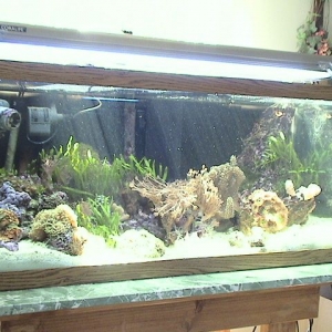 45 gallon