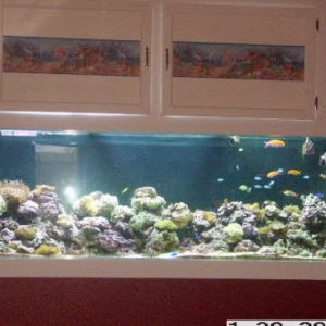 265 Gallon photo