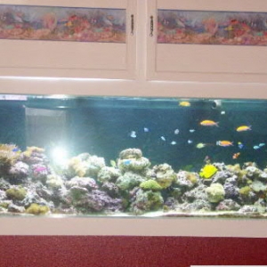 265 Gallon photo