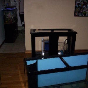 new tank and stand