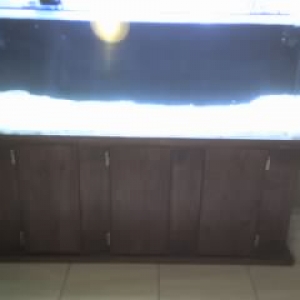 my one hundred gallon tank