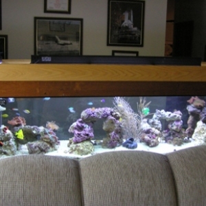 125 gallon reef tank